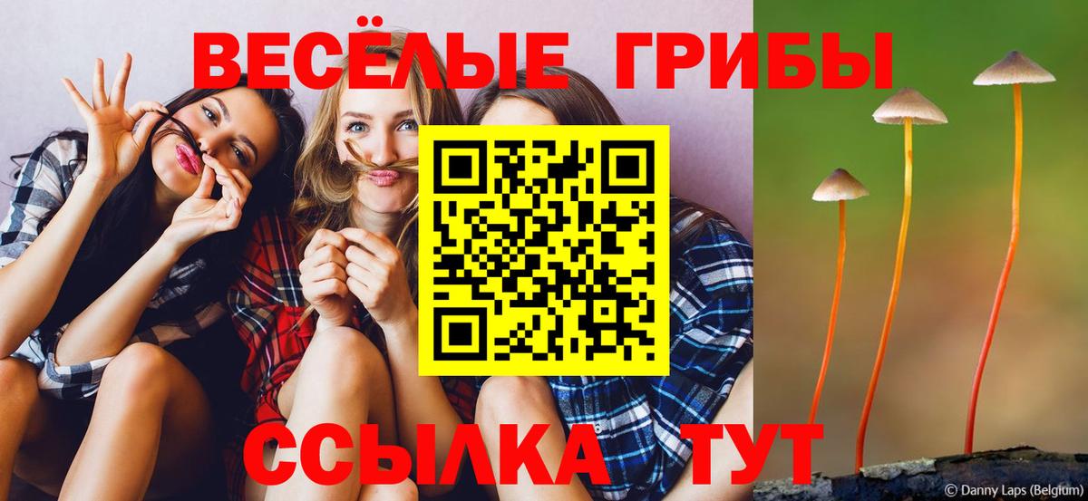 Псилоцибиновые грибы прущие грибы  Псилоцибиновые грибы GOLDEN TEACHER  Вход с VPN  Можайск 